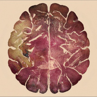 СОЗНАНИЕ И НАУКА