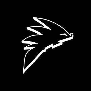 Космические Ежи 🦔