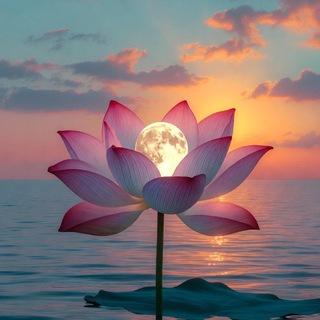 Эльза Фа 的梦 🐚