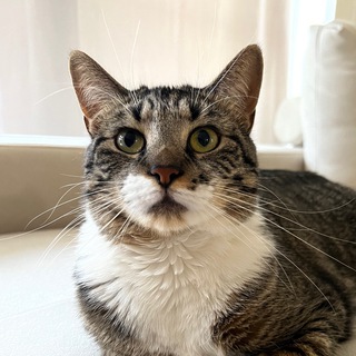 В Спальне С Бубой