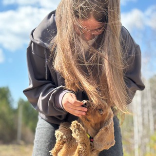 Спаниель?или нет?