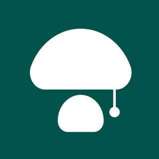 SPAWN | мебель из грибов