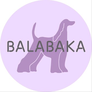 BALABAKA 🐾 ЗООСАЛОН