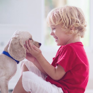 ООО «ЮНИТ Сервис Санкт-Петербург»