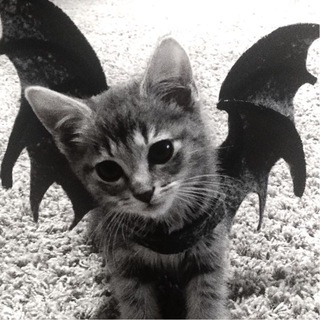 спейчелс xdxd🎄