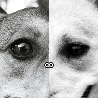 𝑭𝒂𝒎𝒊𝒍𝒊𝒆 𝑲𝒉𝒂𝒛𝒂𝒓//𝑬𝒗𝒂