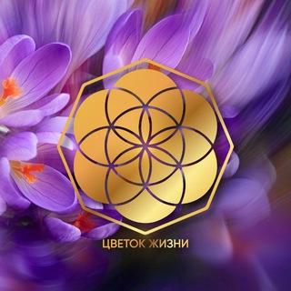 Медитации онлайн Цветок Жизни