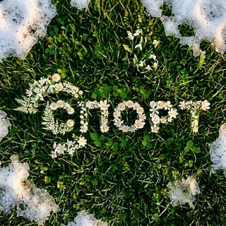 СПОРТ МИСИС 2.0