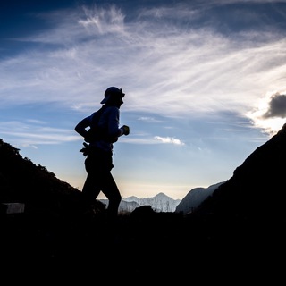 Спортивный бадди