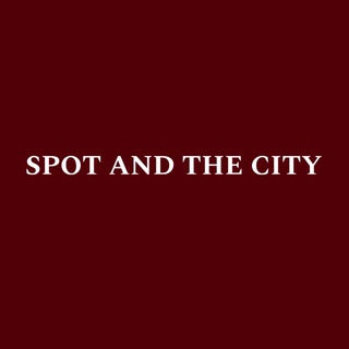 SPOT AND THE CITY