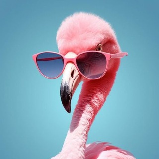 Flamingo Кастинг🦩Реклама и клипы Москва