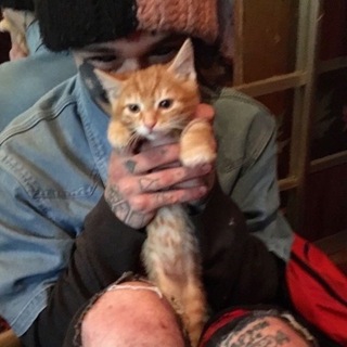 спой берлога