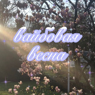 вайбовая весна✨