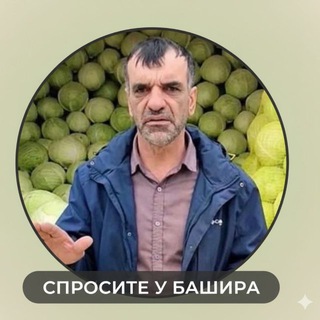 Спросите у Башира