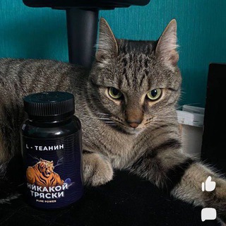 grindset | 3к+ человек