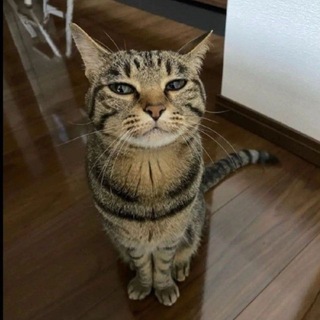 Срать стоя переходник