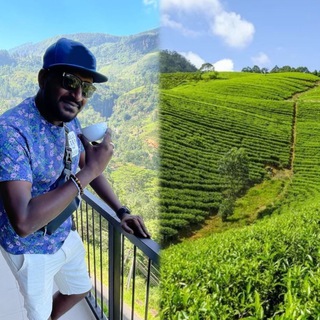 Шри-Ланка Экскурсии / Гид Шри Ланка / Трансфер Шри Ланка / Sri Lanka Tur