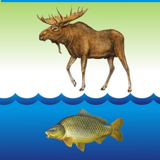 СЫЗРАНСКОЕ ОБЩЕСТВО ОХОТНИКОВ И РЫБОЛОВОВ