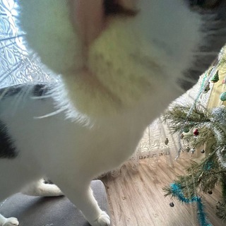 [переезд] smth