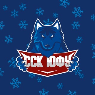 ССК ЮФУ/Студенческий Спортивный клуб ЮФУ