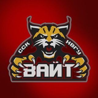 ССК «ВАЙТ» | НВГУ