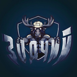 ССК ЗОДЧИЙ | НИУ МГСУ