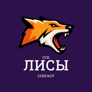 ССК «ЛИСЫ» СПбГАСУ