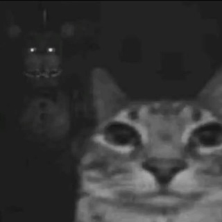 смешные кружки