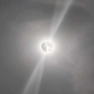 نور الساجدين