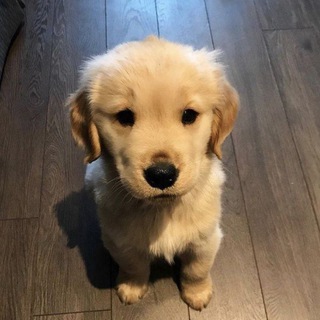 |рест| >ʚyesssɞ