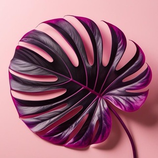 Осторожно, цветы!