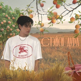 стэйси дура