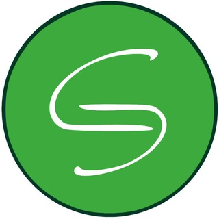 Экспертиза: все по полочкам от АНО "Стандарт Эксперт"