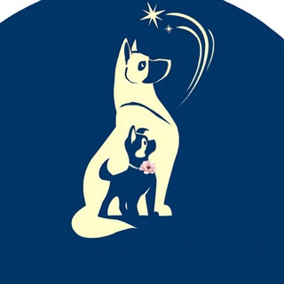 Клуб служебных собак в отставке «Звёздный Пёс»