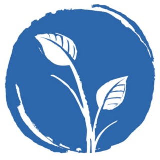 Как стать психологом | Институт «Метафора»