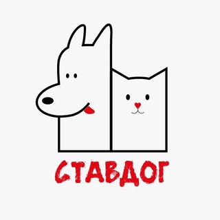 Приют "Ставдог"