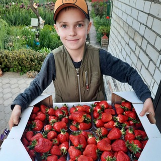 Ставропольская ягода