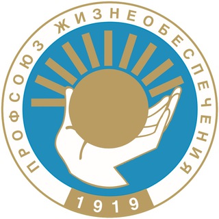 Ск Профсоюз жизнеобеспечения