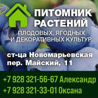 Саженцы Ставрополь