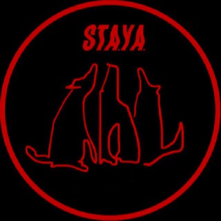 STAYA bureau