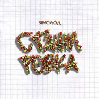 Ямолод.Стажировка