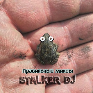 stalker_dj авторские миксы, сборники, dj сэты. 25 лет копаюсь в музыке для вас