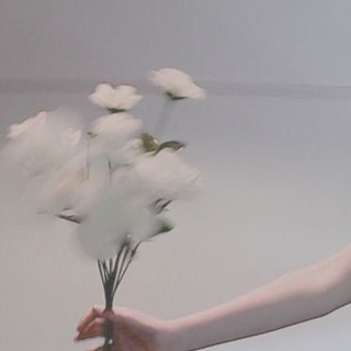 Stelliastы✨bubble Stelli