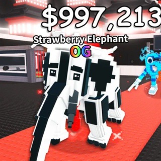 ☕️ Укради Брейнрот | Новости🎤