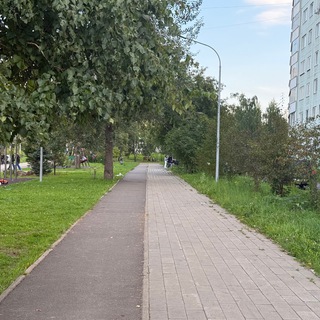 Укради со сквера