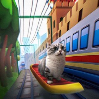 DASH GOLIK конкурсы