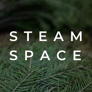 STEAM SPACE