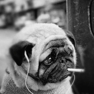 Авы/обои❤️‍🔥