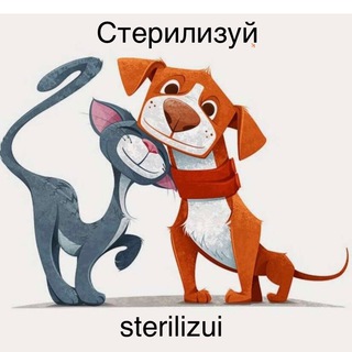 Стерилизация по районам