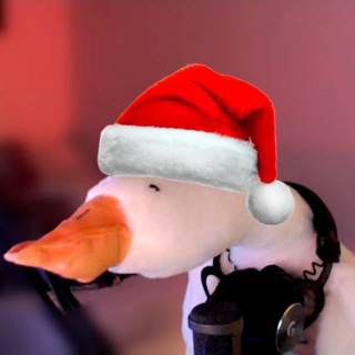 СТЭТИК only CS2